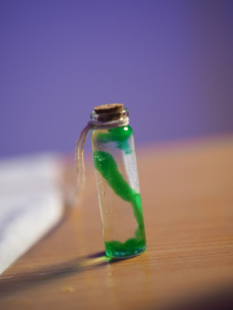 P1010077 (Stredné).JPG